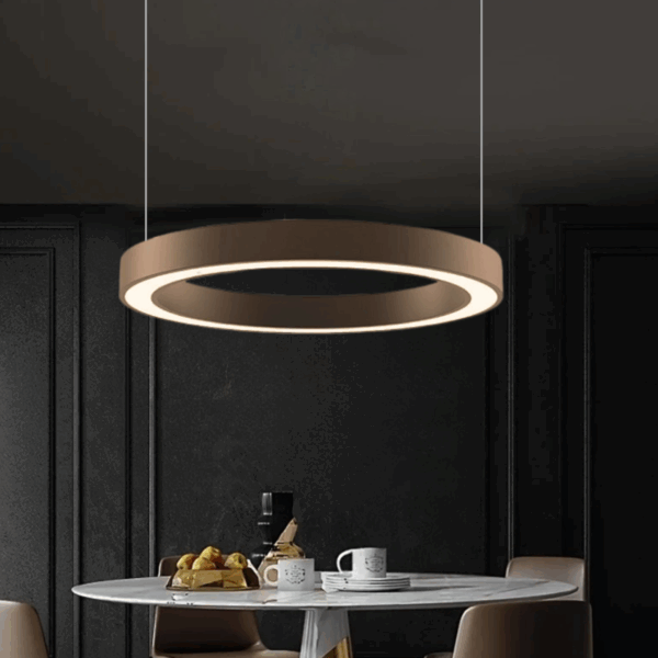 modern led ring hanging light 3 colors light changeable