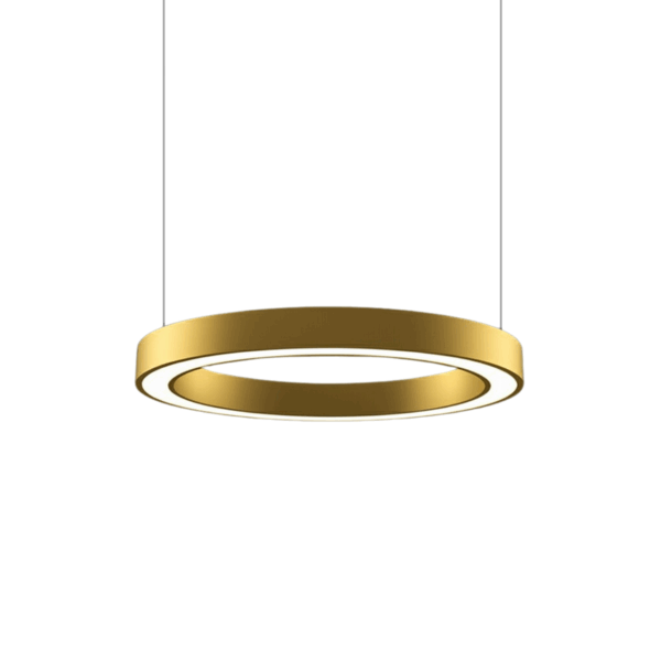 modern led ring hanging light 3 colors light changeable