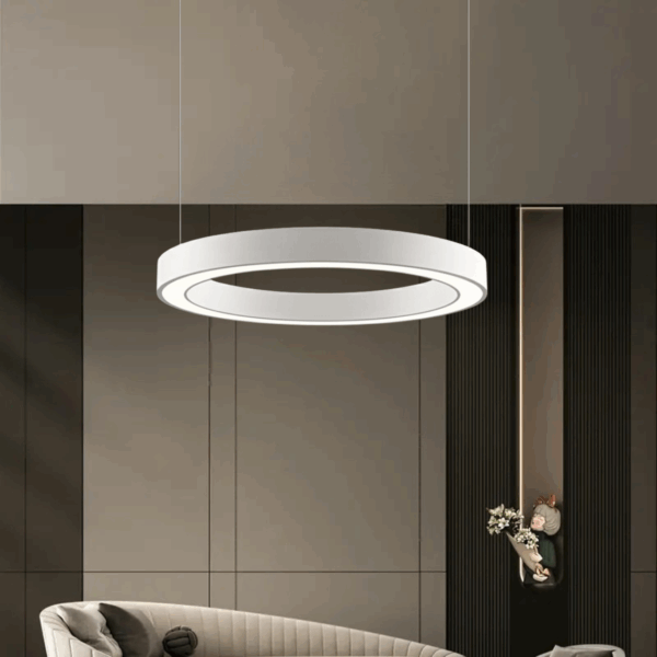 modern led ring hanging light 3 colors light changeable