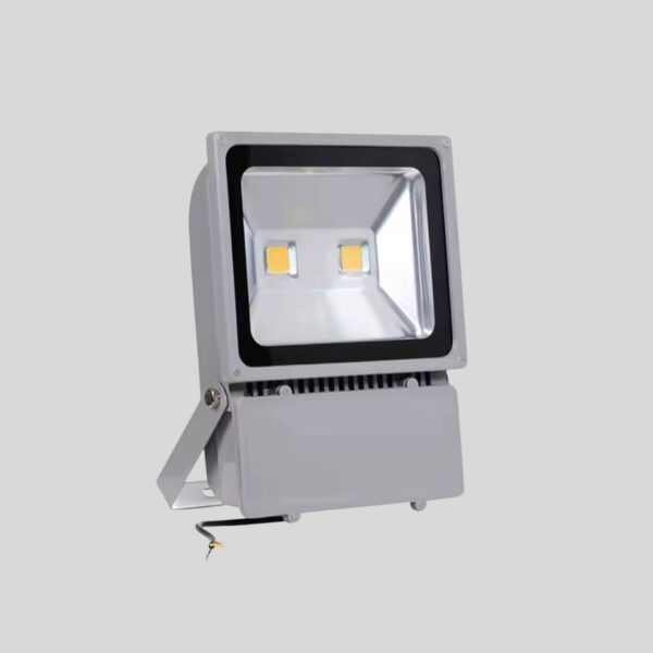 Led flood light TG2050L 100W RGB