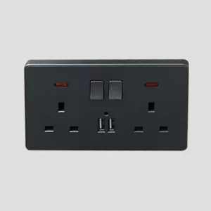 Double USB Switches