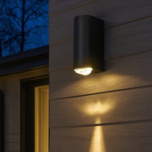 LED Outdoor Wall Light Lamp IP65 Waterproof Aluminum Lamp Body Black