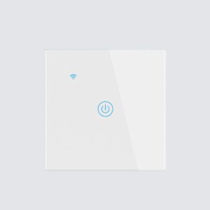 Smart 1 Gang Touch Wall Switch with Mobile App Control