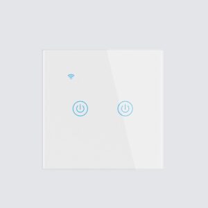 Smart 2 Gang Touch Wall Switch with Mobile App Control